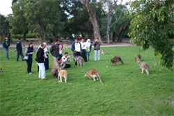 Caversham Wildlife Park - Broome Tourism 2