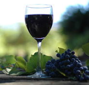 Lion Mill Vineyards - Broome Tourism