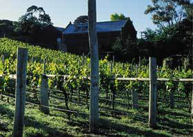 Goona Warra Vineyard - Broome Tourism 1