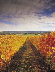 South Melbourne VIC Broome Tourism