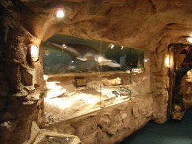 The National Opal Collection - Broome Tourism 2