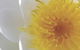 Crown Spa - thumb 2