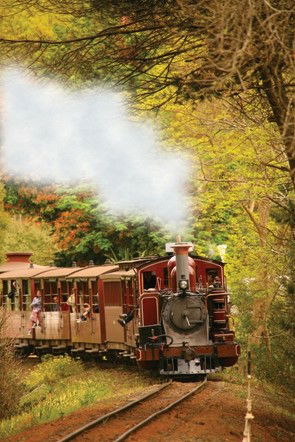 Puffing Billy - Broome Tourism 5