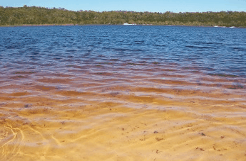 Beach Trekkers North Stradbroke Island - Broome Tourism 1