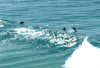 Beach Trekkers North Stradbroke Island - Broome Tourism 2