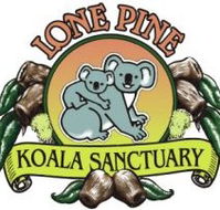 Lone Pine Koala Sanctuary - Broome Tourism