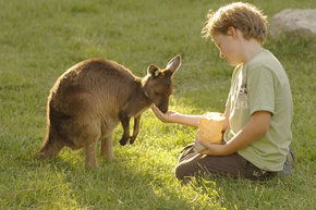 Cleland Wildlife Park - Broome Tourism 4
