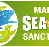 Manly SEA LIFE Sanctuary - Broome Tourism