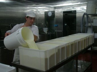 Witches Chase Cheese Co - Broome Tourism 1