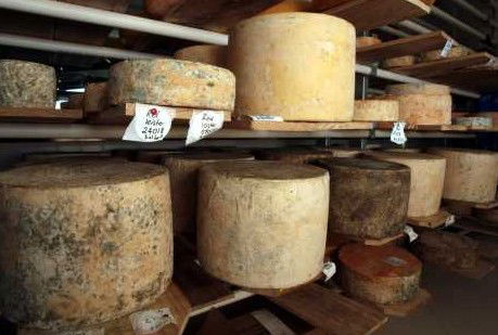 Witches Chase Cheese Co - Broome Tourism 3