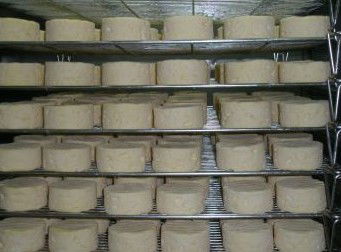 Witches Chase Cheese Co - Broome Tourism 5