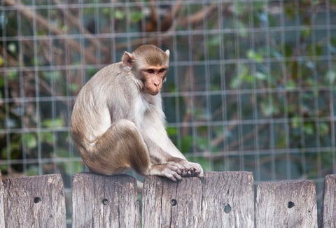 Darling Downs Zoo - Broome Tourism 5