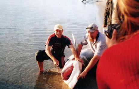 True Blue Fishing Charters - Broome Tourism 1