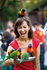 Currumbin Wildlife Sanctuary - Broome Tourism 10