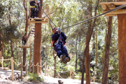 Currumbin Wildlife Sanctuary - Broome Tourism 11