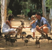 Billabong Sanctuary - Broome Tourism