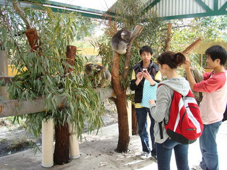 Caversham Wildlife Park - Broome Tourism 4