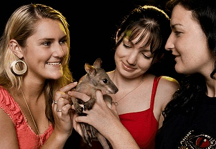 Cairns Night Zoo - Broome Tourism 1
