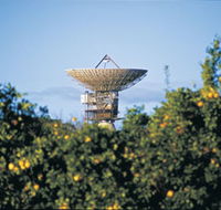 Big Dish - Broome Tourism