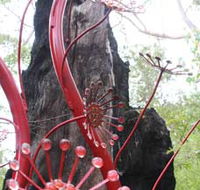 Understory Art In Nature - Broome Tourism