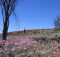 Talgomine Reserve - Broome Tourism