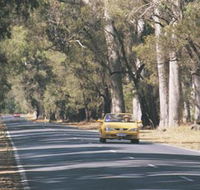 Ludlow Tuart Forest - Broome Tourism