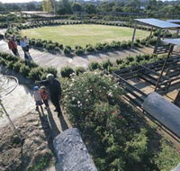 Kojonup Rose Maze - Broome Tourism