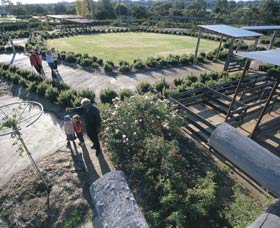Kojonup Rose Maze - Broome Tourism 0
