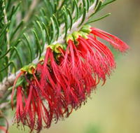 Ethel Daw Scenic Drive - Broome Tourism