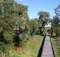 Kepwari Trails Wetland Wonderland - Broome Tourism