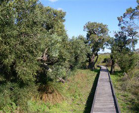 Kepwari Trails Wetland Wonderland - Broome Tourism 0