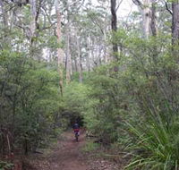 Margaret River Rails Trail - Broome Tourism