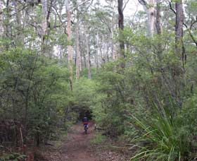 Margaret River Rails Trail - Broome Tourism 0