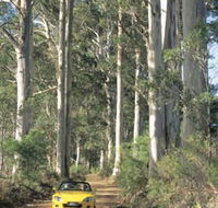 Scotsdale Tourist Drive - Broome Tourism