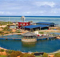 Ocean Park Aquarium - Broome Tourism