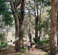 Law Trail and Lotterywest Federation Walkway Kings Park - Broome Tourism