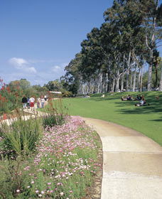 Kings Park Free Guided Walks - Broome Tourism 0