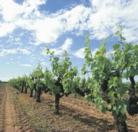 Blackwood Meadery - Broome Tourism