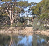 Merredin Railway Dam - Broome Tourism