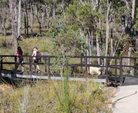 Forest Path, Crooked Brook - Broome Tourism 0