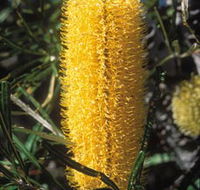 Moore River National Park - Broome Tourism