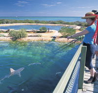 Shark Bay Marine Park - Broome Tourism