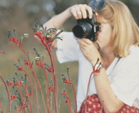 Gingin Cemetery - Broome Tourism 0