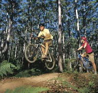 Leeuwin-Naturaliste National Park - Cowaramup - Broome Tourism