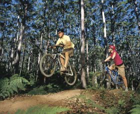Leeuwin-Naturaliste National Park - Cowaramup - Broome Tourism 0