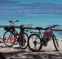 Parker Point Marine Snorkel Trail - Broome Tourism