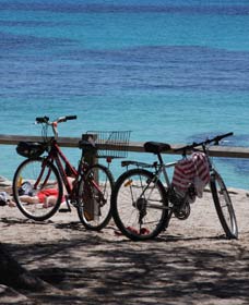 Parker Point Marine Snorkel Trail - Broome Tourism 0