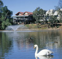 White Swans - Broome Tourism
