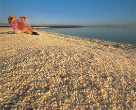 Shell Beach - Broome Tourism 0