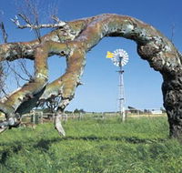 Greenough Leaning Trees - Broome Tourism